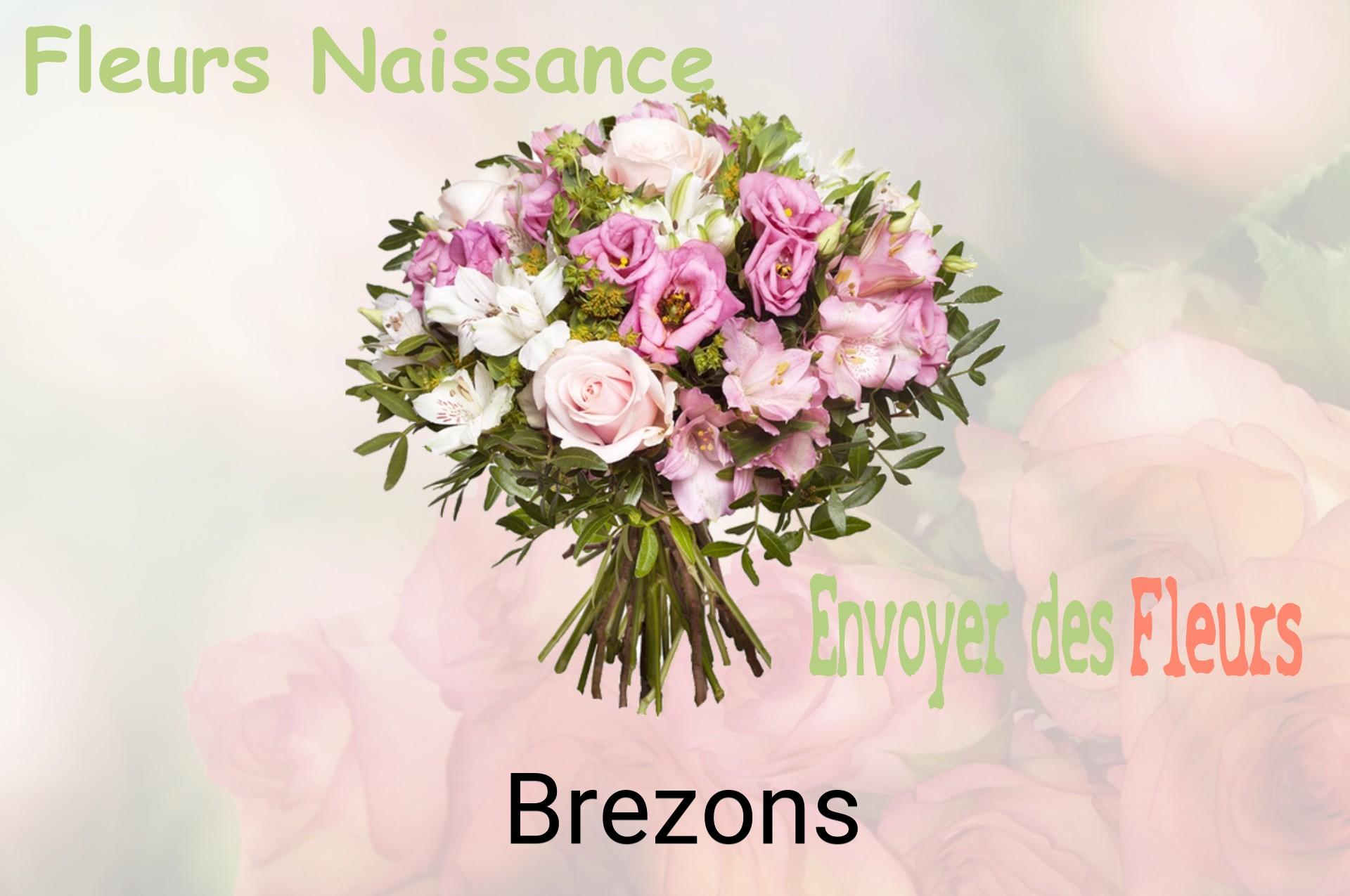Bouquet de fleurs de naissance livré à Brezons